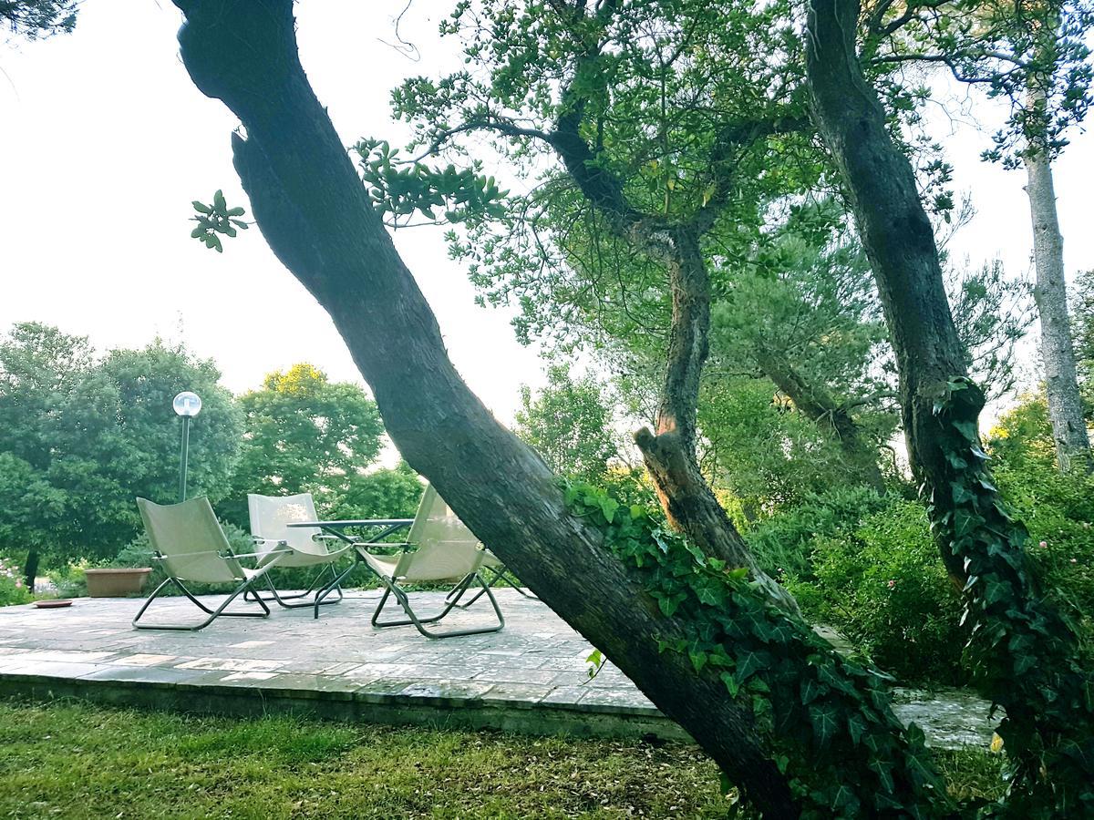 Villa Cenzina Selva Di Fasano Exteriör bild